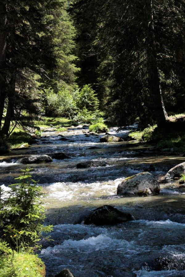 Bergnest Oetztal - Appartements Umhausen Luaran gambar